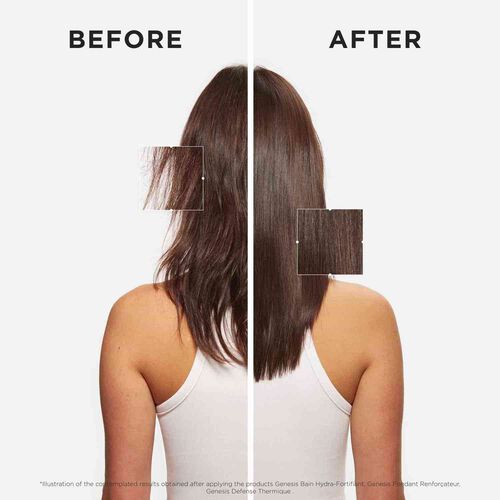 방 제네시스 리치 - 케라스타즈 | L'Oréal 파트너샵